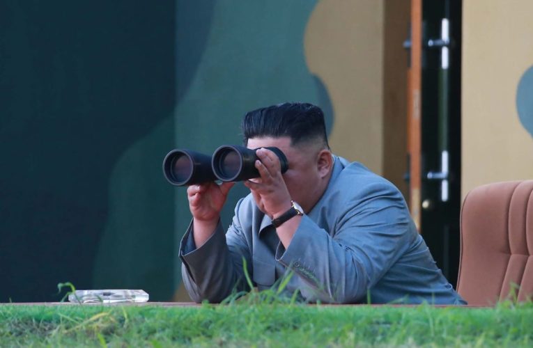 Serviciile secrete coreene: Cât de adevărate sunt zvonurile despre Kim Jong Un?